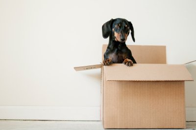 6 zaken om te onthouden wanneer je je huurwoning gaat verlaten